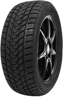 Купить Зимние шины DELINTE WINTER WD1 с доставкой по Беларуси.